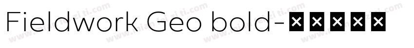 Fieldwork Geo bold字体转换